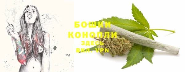 хмурый Бронницы