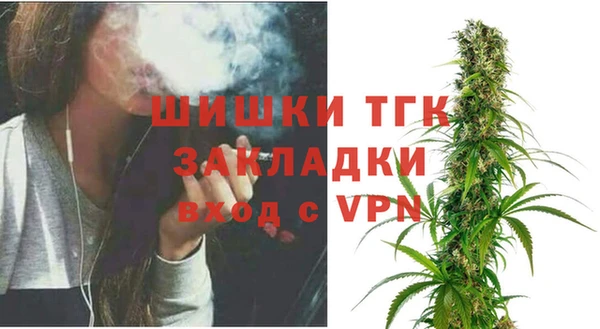 дурь Каменка