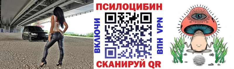 Псилоцибиновые грибы мухоморы  где можно купить наркотик  Будённовск 