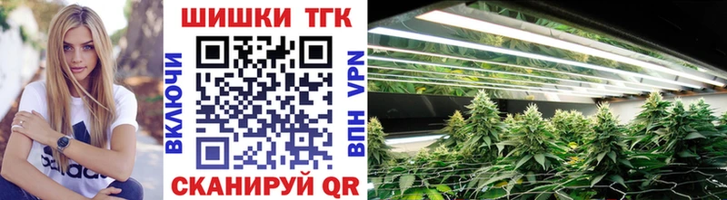 наркошоп  Будённовск  Канабис сатива 